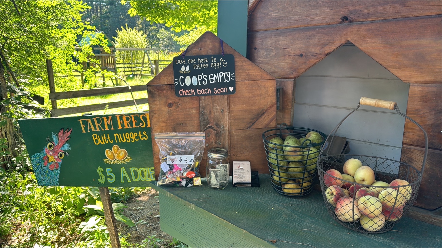 The original Luke’s Coop egg shed